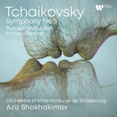 Tchaikovsky: Symphony No. 5 in E Minor, Op. 64: III. Valse (Allegro moderato)