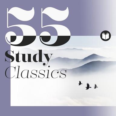 Serenade in G Major, K. 525 "Eine kleine Nachtmusik": II. Romanza (Andante)