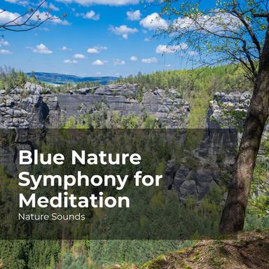 Tent in the Shoreline