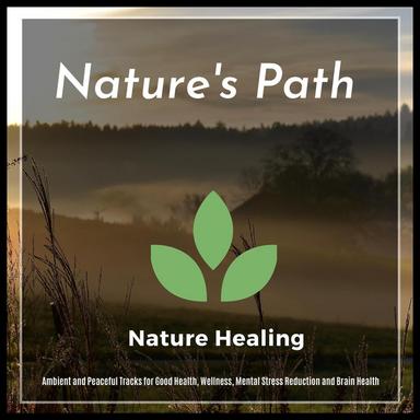 The Healing Vibes - Original Mix