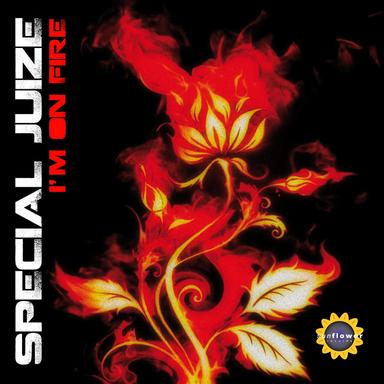 I'm On Fire - Radio Edit