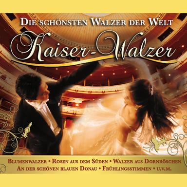 Geschichten aus dem Wienerwald, Op. 325