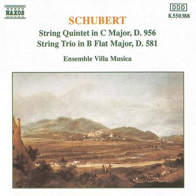 String Quintet in C Major, Op. 163, D. 956: II. Adagio