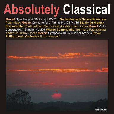 Symphony No. 25 in G Minor, K. 183: I. Allegro con brio