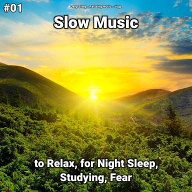 Soft Music for Sleeping