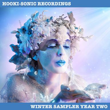 Hooki-Sonic Recordings Winter Sampler Year Two