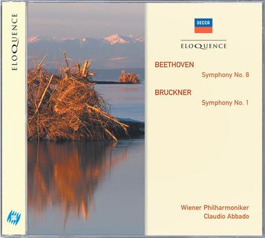 Symphony No. 1 in C Minor, WAB 101 (1877 Rev. Linz Version, Ed. Haas): II. Adagio