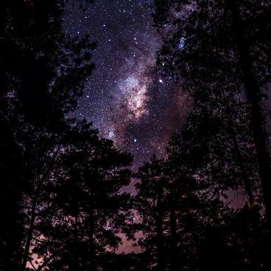 Enlightened Feelings