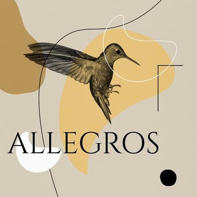 Violin Concerto in D Minor, BWV 1052R: I. Allegro
