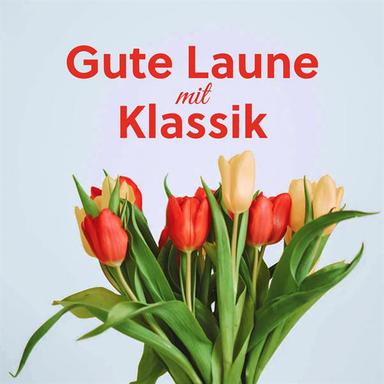 Brandenburg Concerto No. 3 in G Major, BWV 1048: III. Allegro