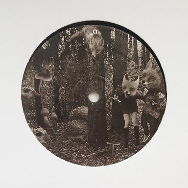 Mistaken Fox - Mathias Schaffhauser Remix