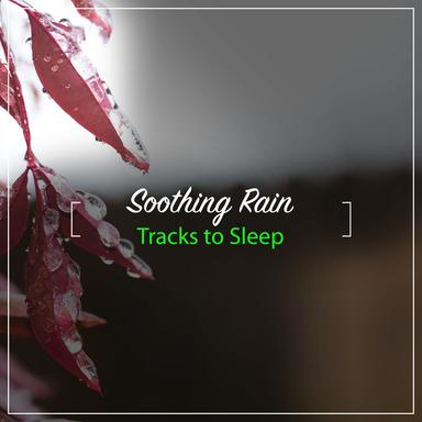 Jungle Rain Shower
