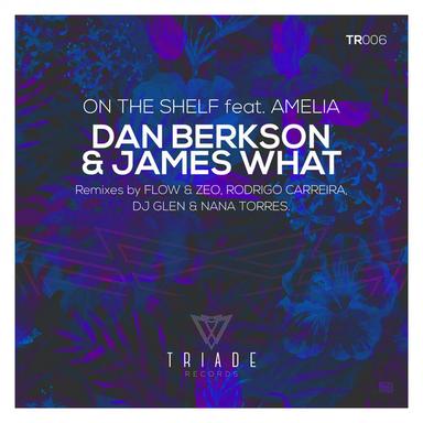 On The Shelf Feat. Amelia - Flow & Zeo remix
