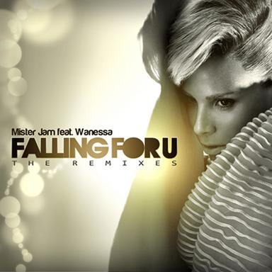 Falling for U - Allan Natal Remix