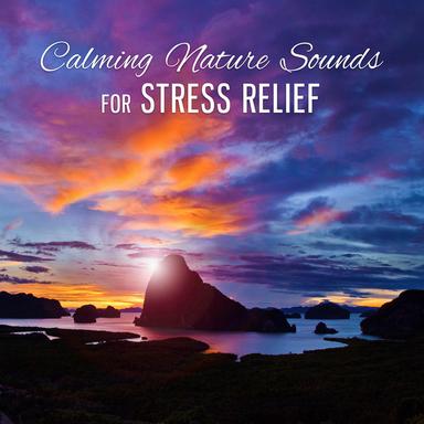 Relaxation Time