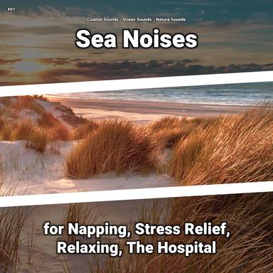 Nature Sounds for Relaxing