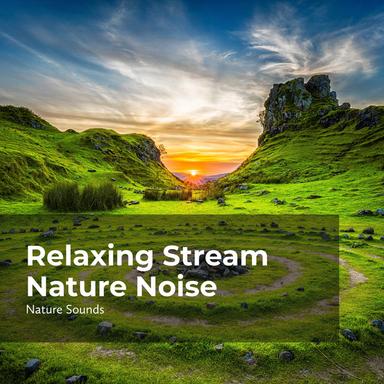 Wind Breeze in the Woods