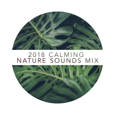 2018Calming Nature Sounds Mix