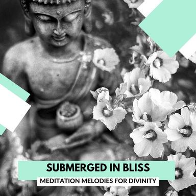 Submerged In Bliss - Meditation Melodies For Divinity