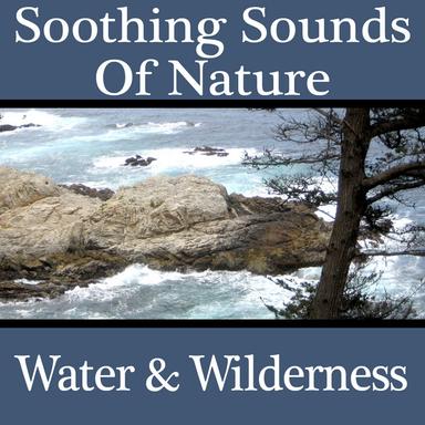 Soothing Sounds of Nature: Water & Wilderness