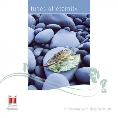 Symphony No. 19 in E-Flat Major, K. 132: II. Andante