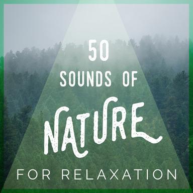 50 Sounds of Nature for Relaxation