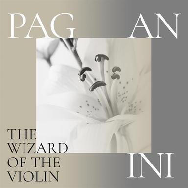 Violin Concerto No. 1 in D Major, Op. 6: II. Adagio espressivo