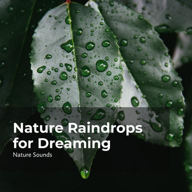 Melodic Flowing River