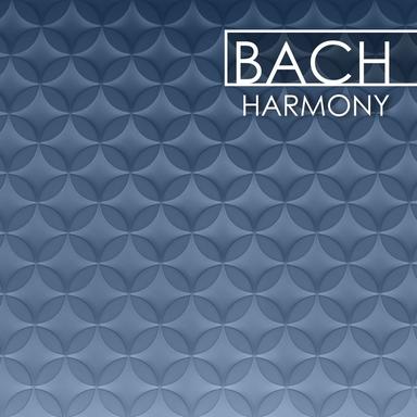 Warum betrübst du dich, mein Herz, BWV 420