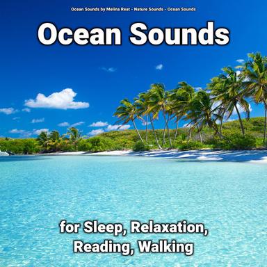 Ocean Waves Sounds