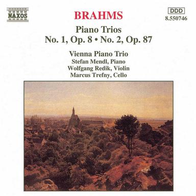 Piano Trio No. 1 in B Major, Op. 8: I. Allegro con brio