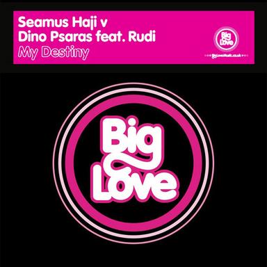 My Destiny - Seamus Haji Radio Edit