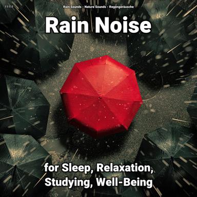 Rain Sound to Relax