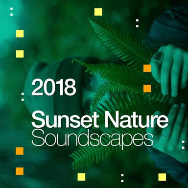 Stroll by the Stream