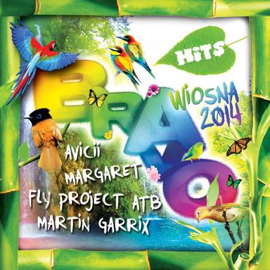 Hey Brother - Radio Edit Long