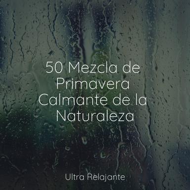 Dunas De Sueños