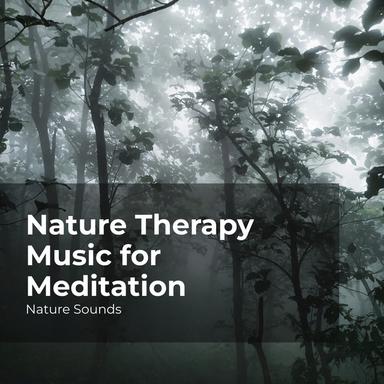 Venture the Woodland