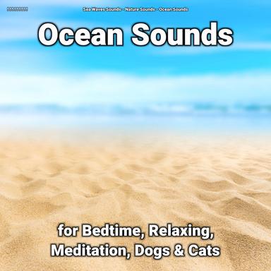 Water Sounds for Mindfulness