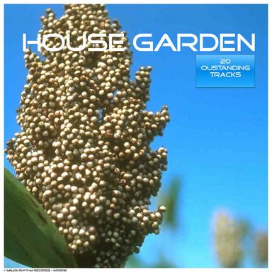 Catch Me On the Dancefloor - Mojazz Black Chocolate Mix