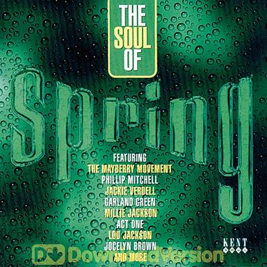 What Did I Do Wrong?