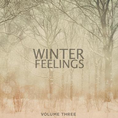Winter Feelings, Vol. 3 (Finest In Calm & Heartwarming Chill Out Tunes)
