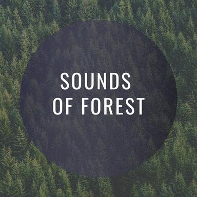 People of Today - Forest Version
