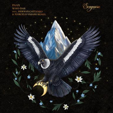 Who Das - Hernan Cattaneo, Marcelo Vasami Remix