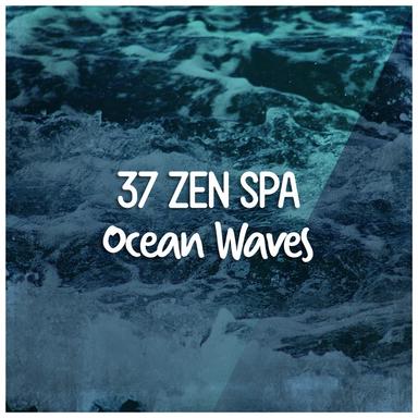 37 Zen Spa Ocean Waves