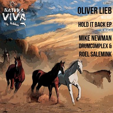 Hold It Back - Drumcomplex & Roel Salemink Remix