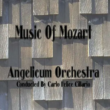 Symphony No. 40 in G Minor, K. 550: I. Molto Allegro