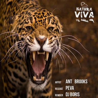 Peva - DJ Boris Remix