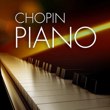 Piano Sonata No. 2 in B-Flat Minor, Op. 35: III. Marche