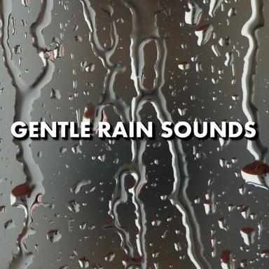 Eloquent Meditation Rain Sounds