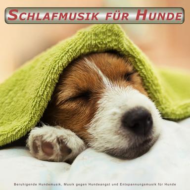 Hundetherapie-Musik